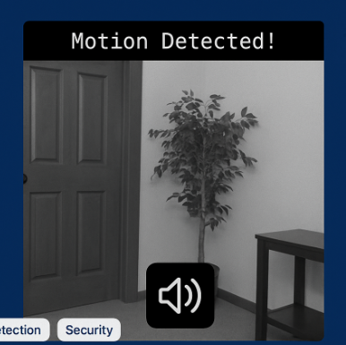 Security Camera Program